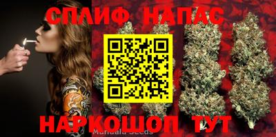 спайс Ливны
