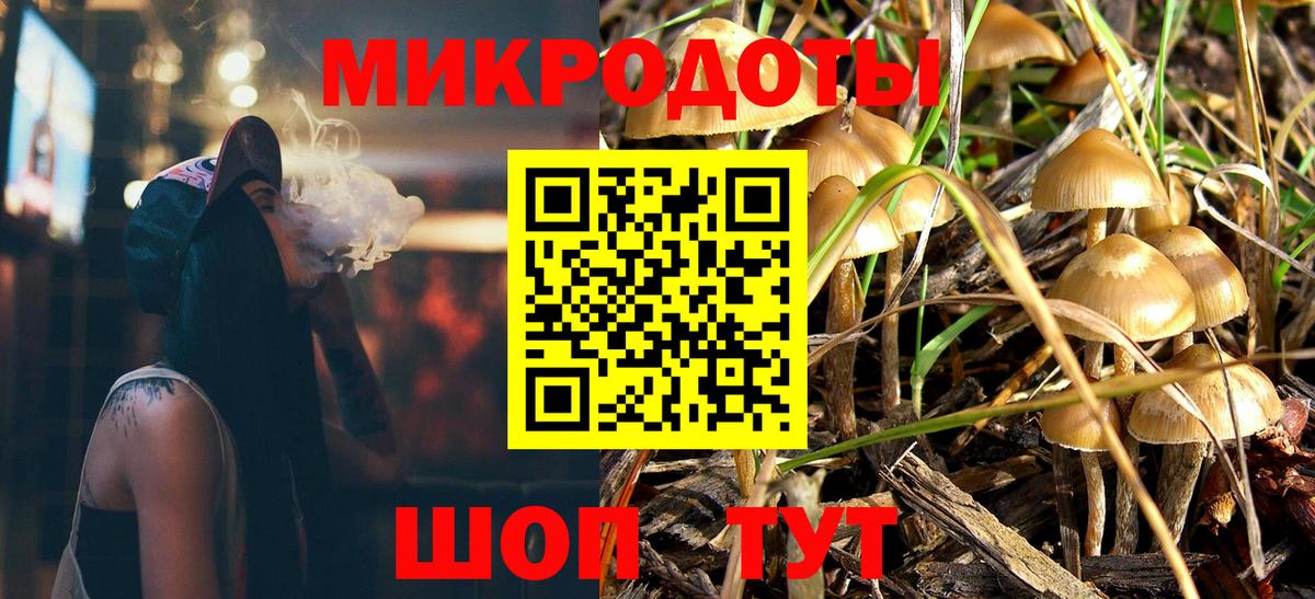 Галлюциногенные грибы прущие грибы Электрогорск