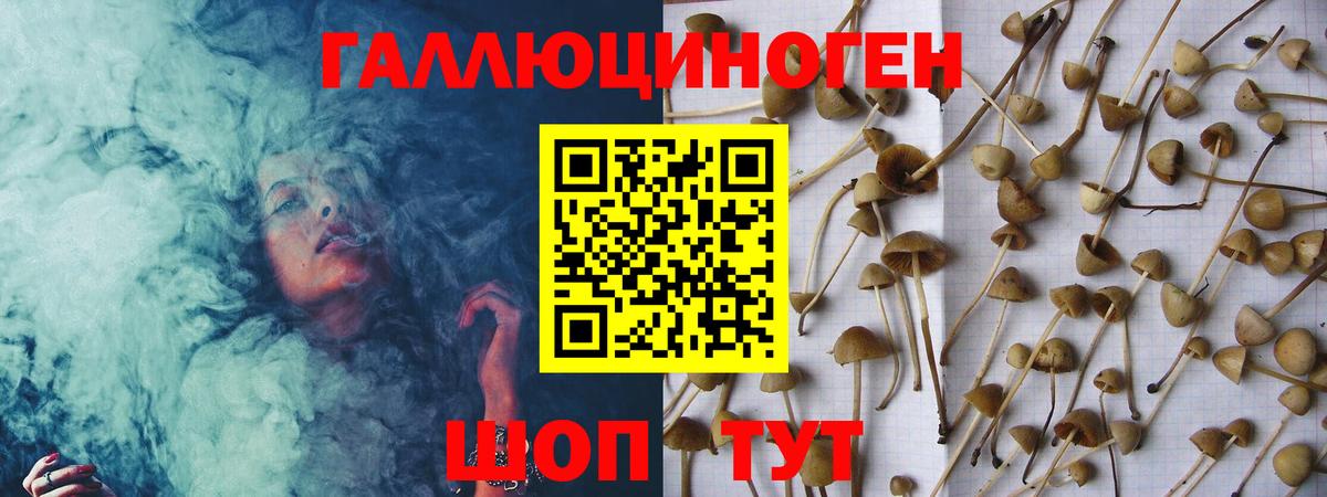 Электрогорск  Галлюциногенные грибы прущие грибы  Вход с VPN 